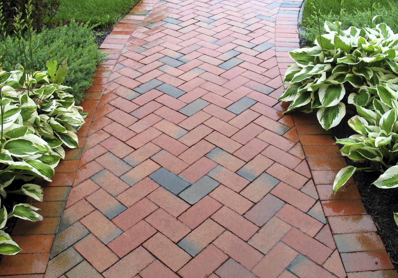 Walkway paver rocks walkways stepping paving succulent Walkway paver rocks walkways stepping paving succulent