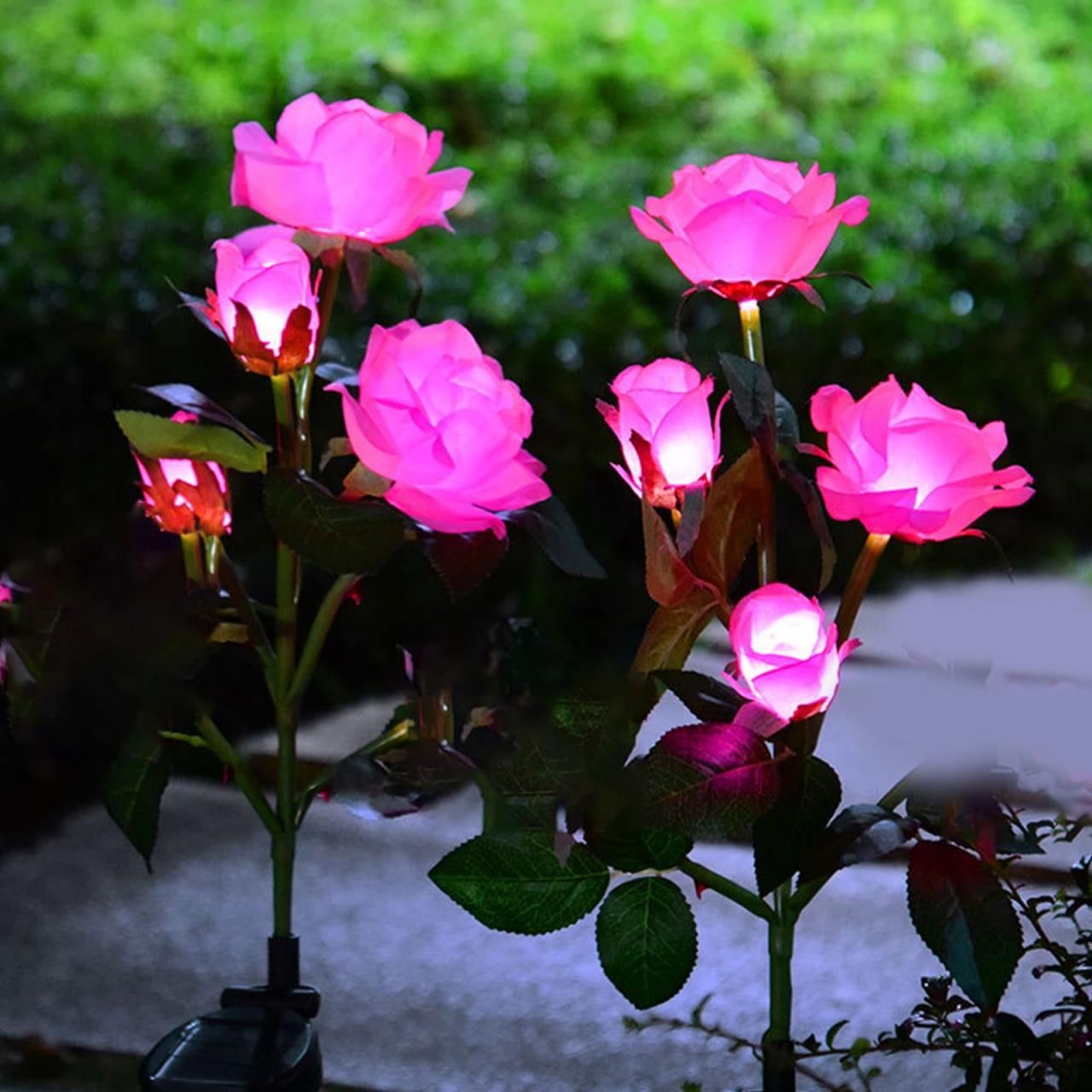 Yard pathway designs