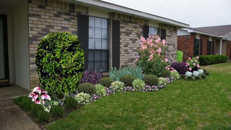 Yard front landscaping ideas